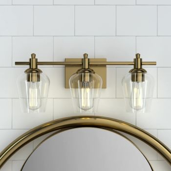 3-Light Dimmable LED Vanity Light