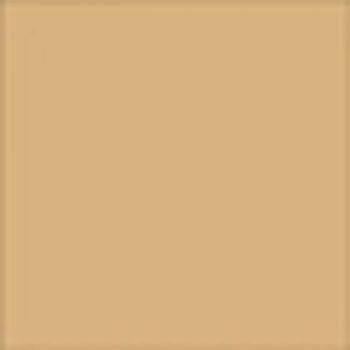 6x6 Camel Bright Glazed Ceramic Wall Tile by Roca Tile USA