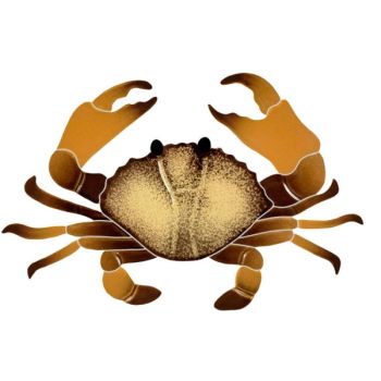  5" x 8" Crab Artistry Ceramic Pool Tile