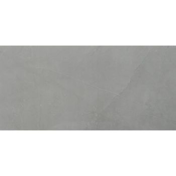 Sande 24x48 Grey Polished Porcelain Floor and Wall Tile