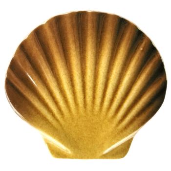 5" x 5" Sea Shell  Artistry Porcelain Pool Tile