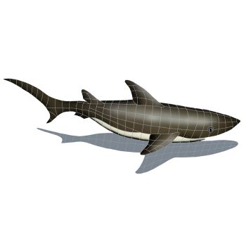 24" x 61" Shark with Shadow Artistry Ceramic Pool Tile