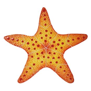  10" x 10" Starfish Artistry Ceramic Pool Tile