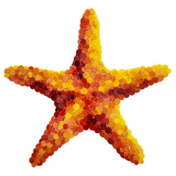  10" x 10" Starfish Artistry Glass Pool Tile