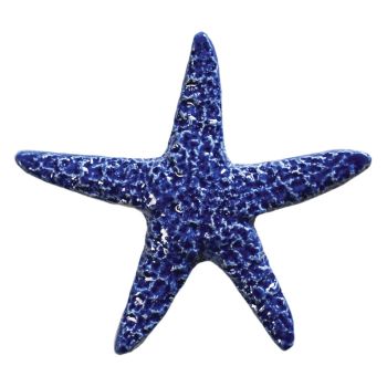 Starfish Artistry Porcelain Pool Tile
