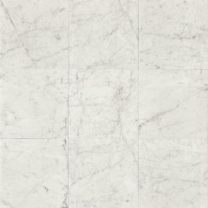 12" x 12" Italian White Carrara Honed Marble Tile | Floor | Wall |
